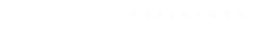 99499威尼斯